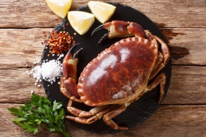 Icelandic crab